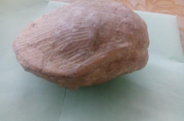 Vkamenena mida